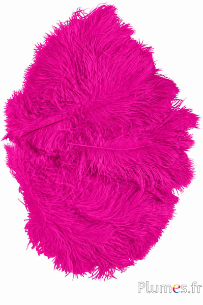 Strauss - 30-40 cm - fuchsia